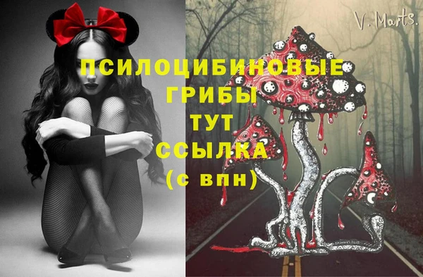 спайс Богданович