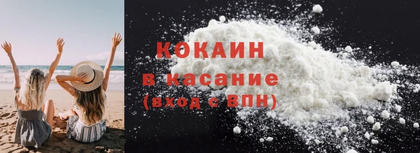 спайс Богданович