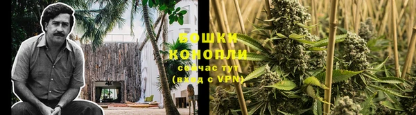 спайс Богданович