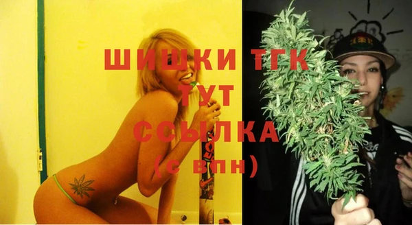 спайс Богданович