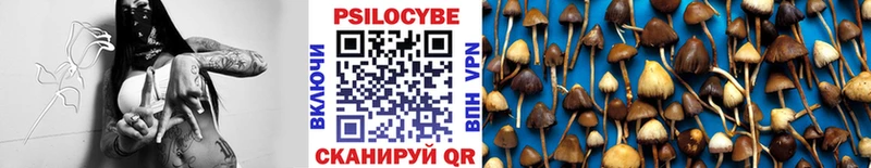 Галлюциногенные грибы Cubensis Купить где Невель